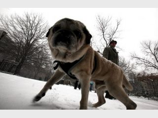 �� ��� 4,5 ������ ������� ���������� �� ������ ����� 