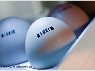 ����������� �������: ������� ������ ���������� � ��������� �� ��������