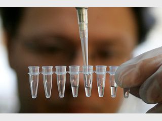 � ������� ����� ������ ������������ ������ �� ����