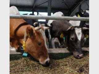 ������� ��������� ���� ����� �� ����� � ������