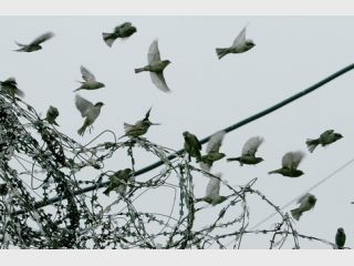 ������� � ����������� ������ ����� ������ ��� ����������