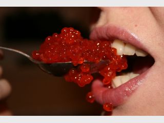 ����� ������ ����������� �������� � ���