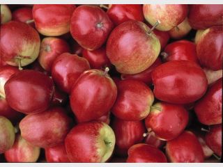 � ����������� ������� ���������� 20 ���� ����������� �������� �����