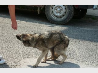 �������� ������ ��������� �������� � ���������� � ��� �� ������ 