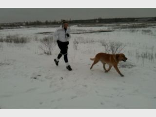 ��������� ������������ ���������� ��� ��� 