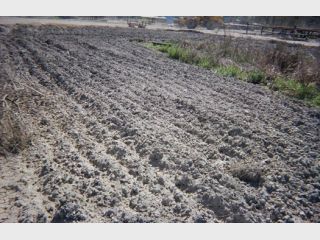 � �������� ������� ��������� ������ 