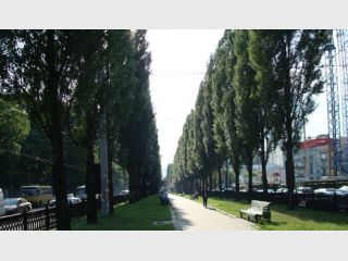 � ����� ���������� ������ �� �������� �������� 