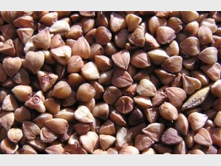 ��������������� ������� ����� ���� ��� �� ����������� ������ 