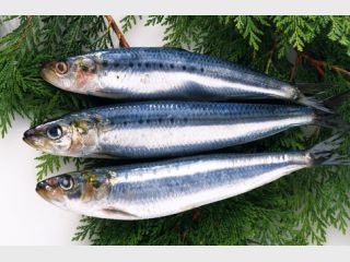 �� ��������� �������� ����� ������� 75 � ����������� ���� 