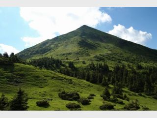 ������� ������������� ����� ���� �� ���� �������