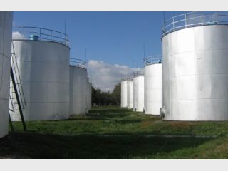 ������ ������� ������ ���� �������� 