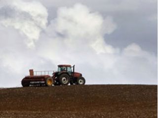 ����� ��������� ����� ����� �������?