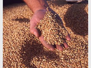 ��������� �������� ��������� � �������� ����� �� �������