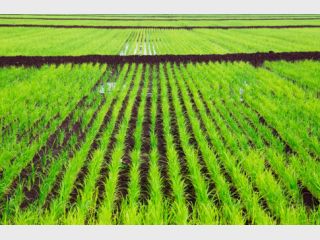 ��������� ���������� � �������� ������� ��������� 100 ���������� �����