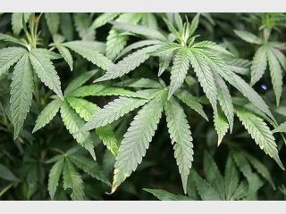 ��������� ��������� ��� ��������� 