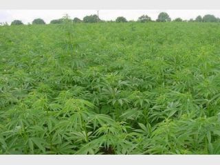 ��������� �������� &mdash; � ����� ������ �� ������ ����� ����������