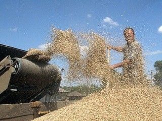 � ���� �������. ��� ��������� �� ���������� ������ �� ����� 