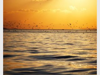 �� ����� ���������� 657 ����� ��������