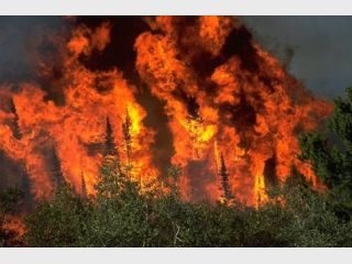 ���� ���������������� ����� ��������� � ����� ������