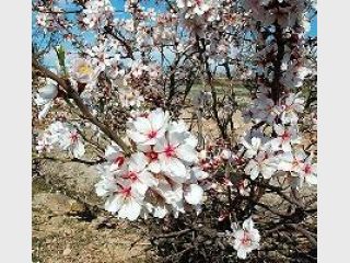 ������ � ������������ ������������� �� ����������� ������ � ����� � ������