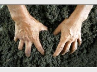 ������ ������������� ����� ����