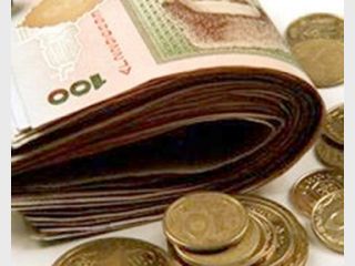 � ������ ���� ������ ������� ������� ������� �� 20%