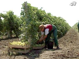 �������� �������������� 160 ��� ��� �������� �� ������������