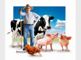 ����������� ������ 