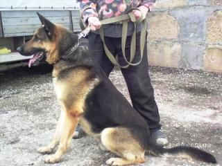 � ����-2012 �� ���������� �������� ������ ������ �����