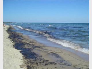 �������� ����� ������ ������������� �������� ������� � 300 ����� ��������