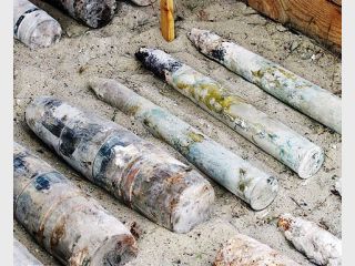 �� ��������� �������� ������� �������� ��� ��������