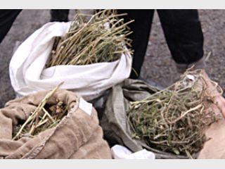 �� ������� ������� ������� ���� �� 12 ��� � ������������