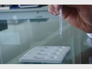 ���� �� ������ ������ � ������� ������������ 