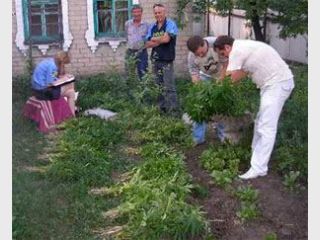 ������� ���������� ��������� �������, ���������� ����������� ��������� 