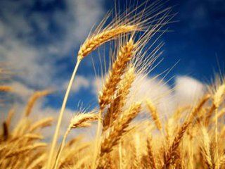 ���������� �������� ������: �������������� ���������