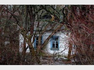 ��������� ������� ��� �������� �������� ����� ����� 