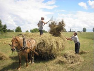 � ������� ������ ��� ������ �� ����� ���������� � ������