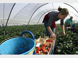 ������ � ��� &mdash; �������� ������������ ��� ���������� ����������