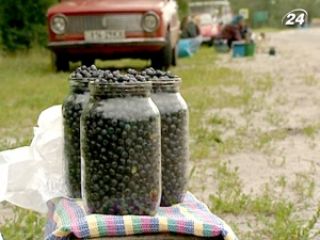 ������� � �������� � ����������� ����� ����