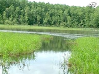 ����� ������� ����� ��������� � ����� �������