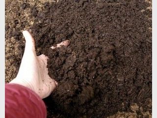 � ��������������� ��������, ��� ���������� �� ������ ���������� �����