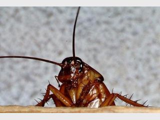 ������������� ������ ������� ��� ������ ���������