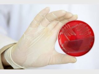 � ��������� ���� � ������� ��������� ������