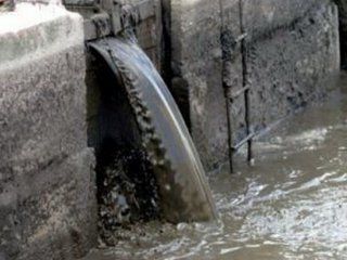 ������ ��������������� ��������� �������� ������� �� ����� ������ � �����