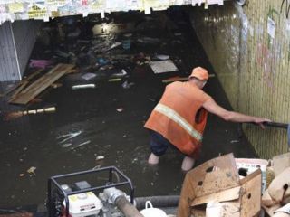 ����������� ������: ��������� ������ ���� ������������ � ���������� ��������