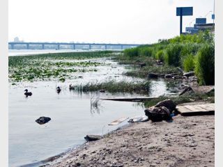 ������ ����� ��������������� ������� 