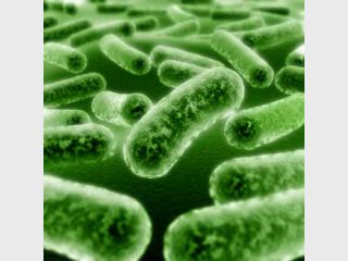 ����� ������ ������ � ���������