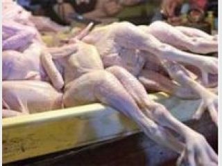 �� ������������ ���-��������� � ���������������� ����������� ���������� �������� 