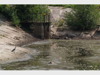 � �������� �������� ������ ��� ����