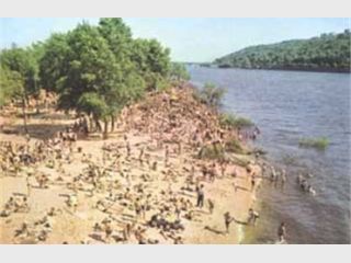 �������� ���������� ��������� ��������� ����� 